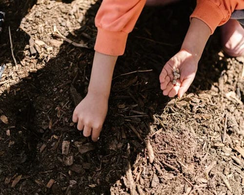 compost from mi organics