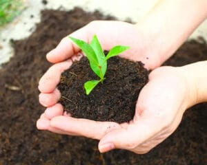 soil for thriving garden