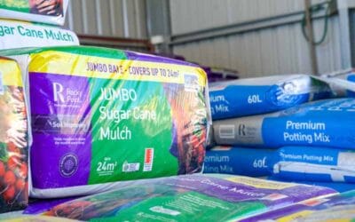 Sugar cane mulch vs. mulches