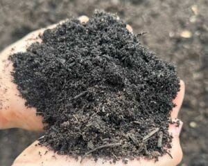 compost from mi organics