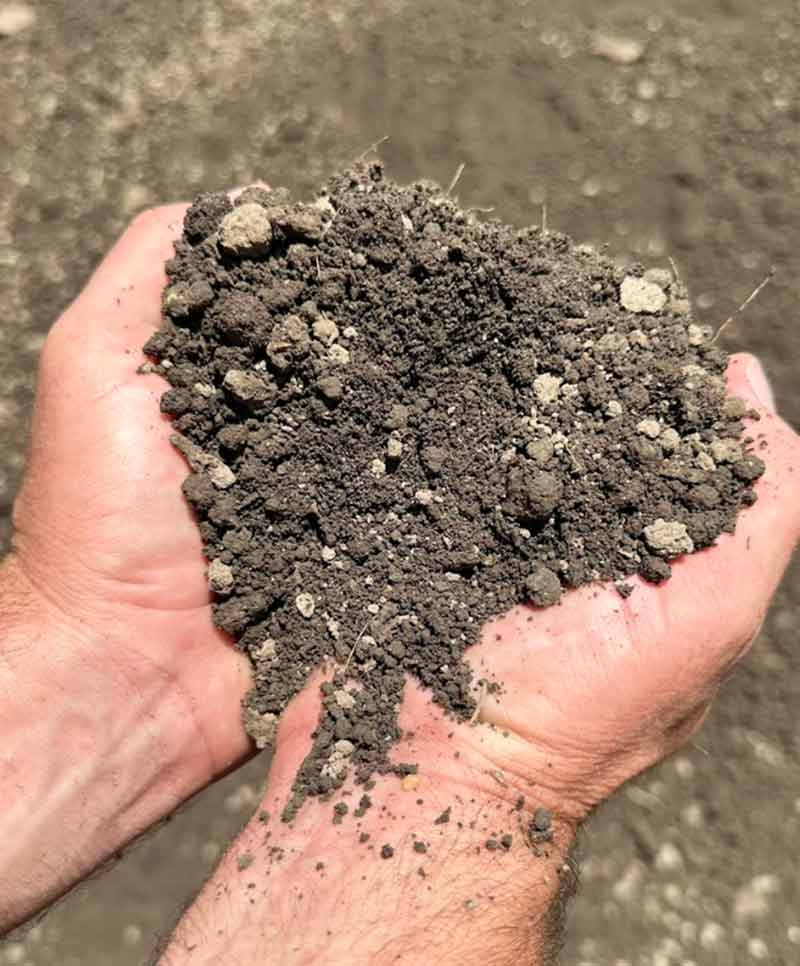 native soil from mi organics