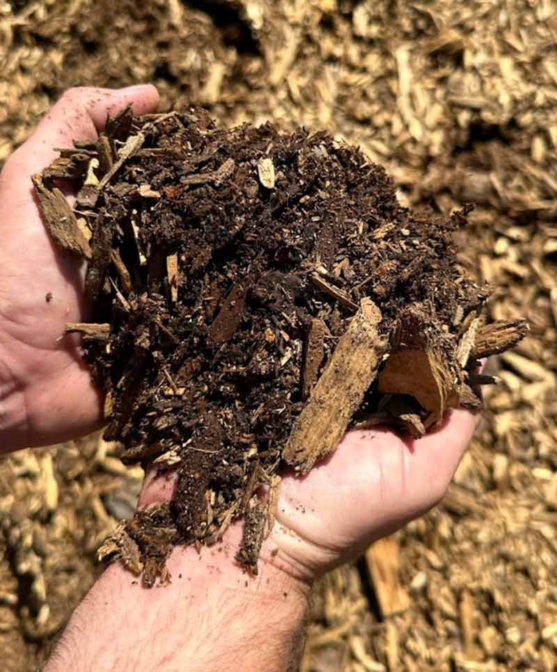 pine flake available for delivery and pick-up