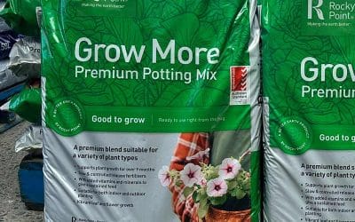 Top 5 ingredients to look for in a quality potting mix