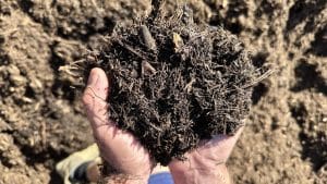 organic mulch teatree for sustainable gardening