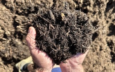 How to build a sustainable garden