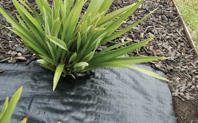 Do weed mats really work