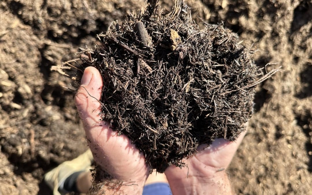 How much mulch do I need?