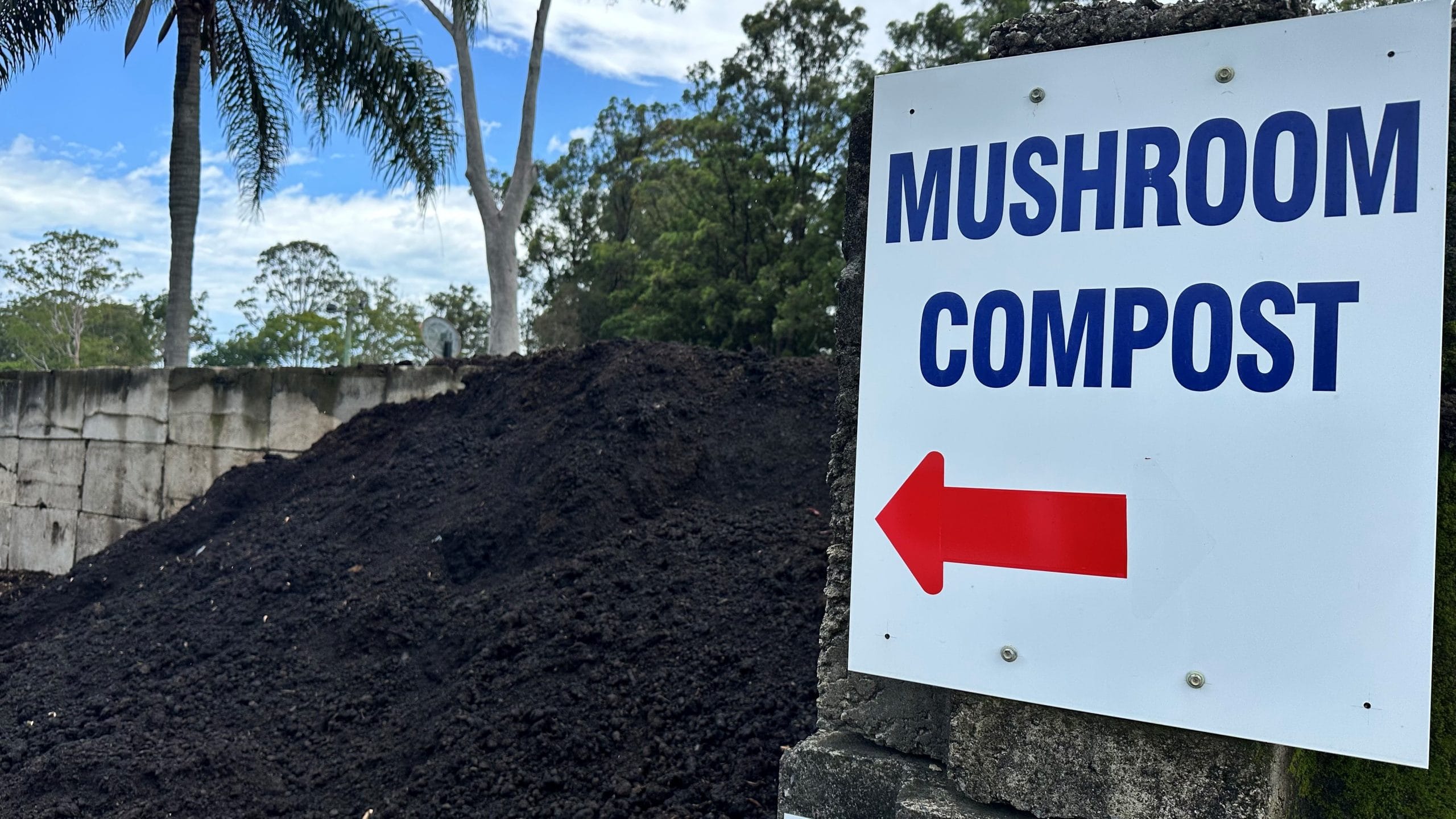 premium compost for gardening