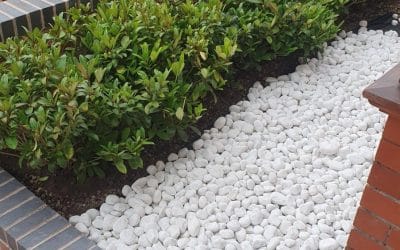 White pebbles in your garden