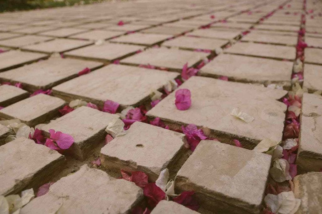 stepping stones garden